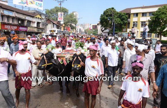 Massive protest in Mangaluru over ban on traditional Kambala sport.