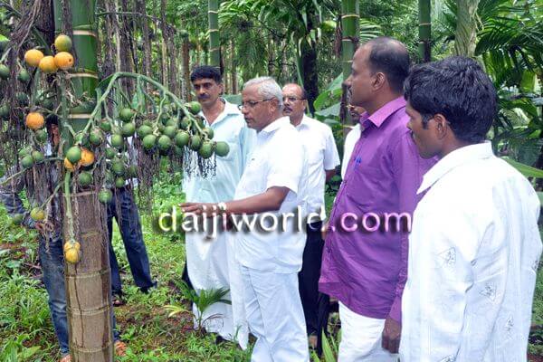 MLA J R Lobo conducts study of crops with farmers in Vittal